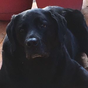 Meet your Posher, Marcie